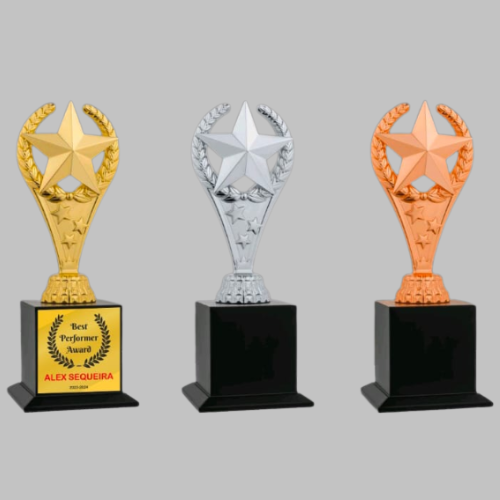 Award Trophy Design no. 744