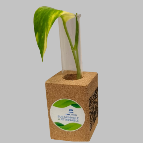 Customized Company Logo Printed Bamboo Plant