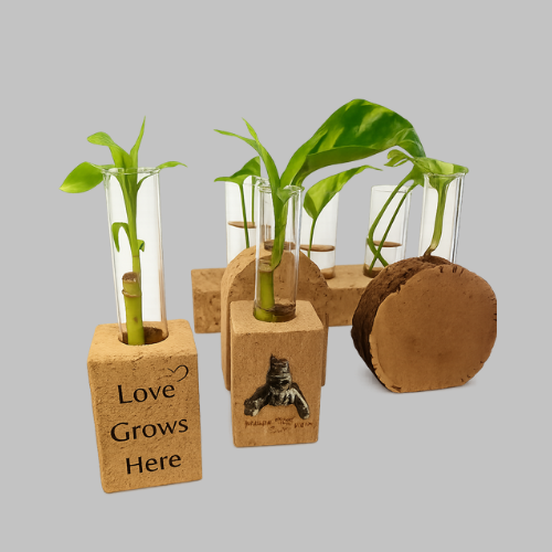 Customized Personalized Bamboo Plant with Planter