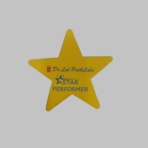 Star Pocket Badge